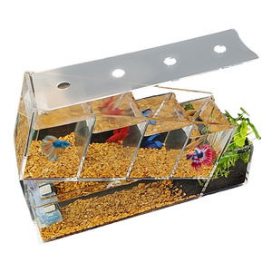 Meilleures ventes Aquarium en acrylique à auto-circulation Zone d'alimentation séparée Mini aquarium pour la décoration de bureau Paysage aquatique décoratif - Product Image 1
