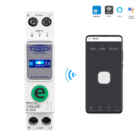 TOMZN TOB9e-63M Ewelink 110V 220V Compteur d'énergie intelligent WIFI, surveillance de la consommation Kwh, disjoncteur, relais temporisé, maison intelligente 63A