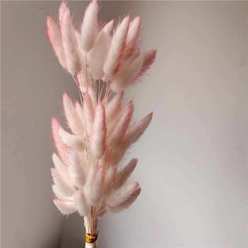 Pink 2