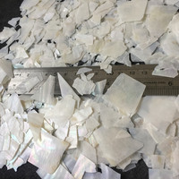 Vente en gros de feuilles de coquillages concassés, tranches de coquillages, coquillages de rivière d'eau douce colorés, copeaux de coquillages pour décorations de manucure
