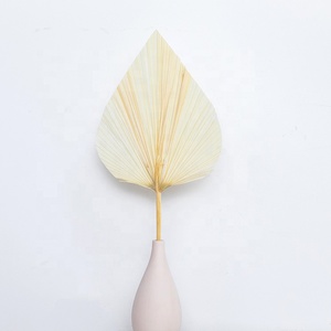 Éventail en feuilles de palmier séchées multicolores, décoration florale originale pour mariage et événements - Product Image 6