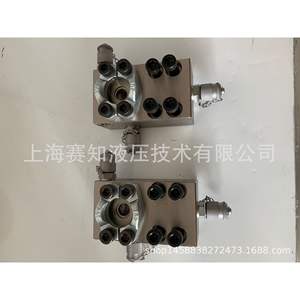 Conjuntos de Válvulas Hidráulicas Integradas Hechas a Medida, Colectores Estándar y No Estándar Disponibles - Product Image 3