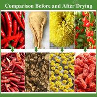 Tomaten Tabak Schaal Cassave Vis Thee Knoflook Blad Peper Mango Ui Warmtepompdroger Chip Dehydrator Machine Fruitdroger