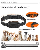 Sicheres & Sanftes Intelligentes Fernbedienungs-Hundetrainingshalsband, Anti-Bell-Hundetrainer für Alle Hundegrößen, Sofort Lieferbar
