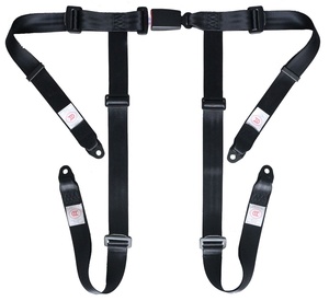 <span class=keywords><strong>Ceinture</strong></span> <span class=keywords><strong>de</strong></span> <span class=keywords><strong>sécurité</strong></span> <span class=keywords><strong>de</strong></span> course à 4 points <span class=keywords><strong>homologuée</strong></span> FIA avec système <span class=keywords><strong>de</strong></span> verrouillage à came pour voitures <span class=keywords><strong>de</strong></span> course, journées sur circuit et sports automobiles - Product Image 2