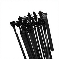 Attaches de câble en nylon, clips universels, autobloquants, à fixation par pression, serrage à clic, attaches de câble pour réparation automobile