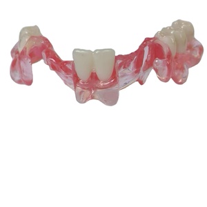 Prothèses dentaires <span class=keywords><strong>en</strong></span> résine <span class=keywords><strong>flexible</strong></span> invisible haute précision et haute dureté Gelaixin, rose, 1 kg/bouteille - Product Image 2
