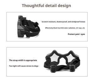 <span class=keywords><strong>Lunettes</strong></span> <span class=keywords><strong>pour</strong></span> animaux <span class=keywords><strong>de</strong></span> compagnie, <span class=keywords><strong>lunettes</strong></span> <span class=keywords><strong>de</strong></span> <span class=keywords><strong>protection</strong></span> <span class=keywords><strong>pour</strong></span> petits chiens, accessoires <span class=keywords><strong>de</strong></span> mode <span class=keywords><strong>pour</strong></span> la photographie, <span class=keywords><strong>lunettes</strong></span> <span class=keywords><strong>de</strong></span> soleil <span class=keywords><strong>pour</strong></span> animaux <span class=keywords><strong>de</strong></span> compagnie en gros, design étoile - Product Image 4