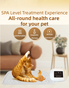 Alat terapi magnetik PEMF buatan Tiongkok untuk perawatan sendi sehari-hari untuk instrumen dokter hewan sendi sakit untuk penggunaan di rumah - Product Image 6