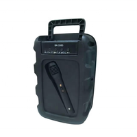 Haut-parleur Bluetooth d'extérieur de 6,5 pouces avec poignée, 5W, rechargeable, portable, avec micro filaire, radio FM, pour le camping en plein air, les fêtes, la maison, le karaoké