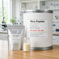 Poudre de collagène de riz en gros, extrait par solvant, riche en protéines, qualité alimentaire, soluble dans l'eau, complément nutritionnel en poudre pour boisson