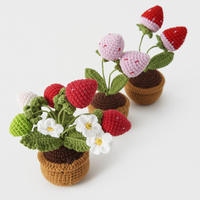 Handgemaakte Positieve Gehaakte Bloem Gehaakte Aardbei Fruit Ingemaakte Bloem Gebreide Vlinder Huisdecoratie Valentijnsdag Cadeau