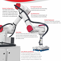 Robot Colaborativo Industrial de 6 Ejes, Brazo Robótico de Alta Precisión, Caja de Cambios de Motor, PLC, Clasificación IP54/IP65, Ahorro de Mano de Obra para Fábrica