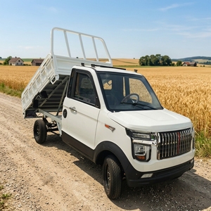 Nueva Minifurgoneta de Carga Eléctrica Económica, Vehículo Eléctrico, Coche Eléctrico, Furgoneta Eléctrica, Camioneta Eléctrica - Product Image 4