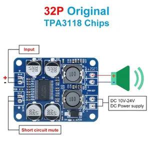Dc 12V-24V Tpa3118 60W Mono Digitale Audio Eindversterker Board Amp Module