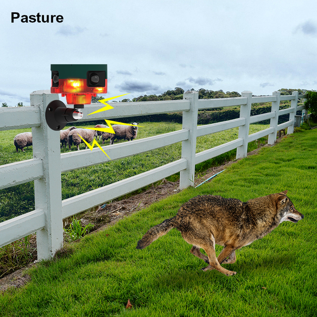 New Solar 360° Animal Repeller With Flashing Light Ultrasonic Recording Features Sus Scrofa/Bird/Cat/Dog/Monkey Deterrent