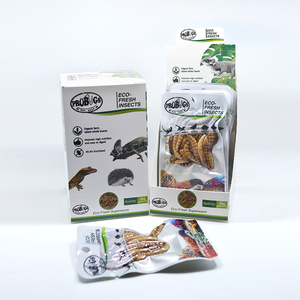 Fournisseur leader d'exportation de vers de farine supermarchés, scellés sous vide, éco-frais, pour l'alimentation des reptiles - Product Image 4