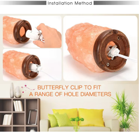 Cordon de support de lampe E12 E14 E26 E27 avec prise EU 2 broches et variateur d'intensité pour lampe de sel DIY