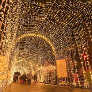 110v-220v Colorful Decorative Star Lighting Led <b>Light</b> Strip for <b>Christmas</b> Weddings Festivals Outdoor With Control - Product Image 2