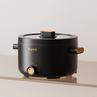 Nouvelle arrivée 2 litres en céramique multi-bouilloire électrique cuisinière multifonction avec protection de sécurité contre la surchauffe et la désactivation du chauffage à sec