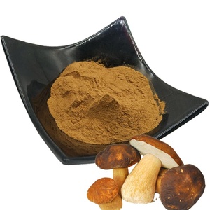 Extracto de <span class=keywords><strong>Hongo</strong></span> Porcini (<span class=keywords><strong>Boletus</strong></span> Edulis) en Polvo, Grado Alimenticio, Extracción por Solvente, Polisacárido 40%, Envasado al Vacío en Tambor - Product Image 3