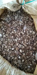 หัวปลาแอนโชวี่แห้งขายดี สำหรับอาหารสัตว์ ปลาแอนโชวี่บดสำหรับปุ๋ย โปรตีนสูง บรรจุถุง หัวปลาแอนโชวี่ - Product Image 2