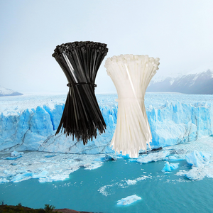 Nhất rẻ nhất thép không gỉ cáp nhựa Tie kích thước khác nhau Sản xuất 2.5*200 - Product Image 1