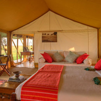 Hôtel de glamping de luxe en bois, complexe hôtelier, lodge de survie, safari, camping, tentes