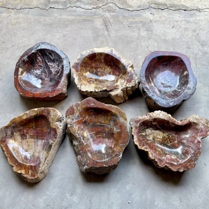 Bois pétrifié naturel poli fossile cristal tranche sous-verre spécimen minéral bol fossile en bois pour la décoration - Product Image 1