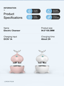 BC-cepillo eléctrico de limpieza Facial, modelo de exportación, a prueba de agua, inalámbrico - Product Image 6