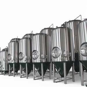 Meilleur prix – Équipement de fabrication et de traitement de la bière en plastique, capacité 500L-1000L - Product Image 4