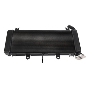 Radiador refrigerante de refrigeración de aluminio para motor de motocicleta, accesorios para <span class=keywords><strong>KAWASAKI</strong></span> ER650, <span class=keywords><strong>Z650</strong></span>, 2017-<span class=keywords><strong>2022</strong></span>, 2018, 39061-0724 - Product Image 1