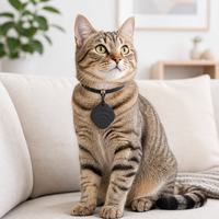 Traceur GPS pour animaux de compagnie, anti-perte, balise intelligente, localisateur d'objets, Bluetooth, portable, collier pour chien et chat, pour petits animaux
