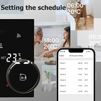 Termostato de calor de caldera de gas Zigbee con control de voz inteligente con programa semanal y función de control remoto