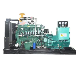 1 Mw Aardgas Generator 1000kw 1250kva Gas Generator