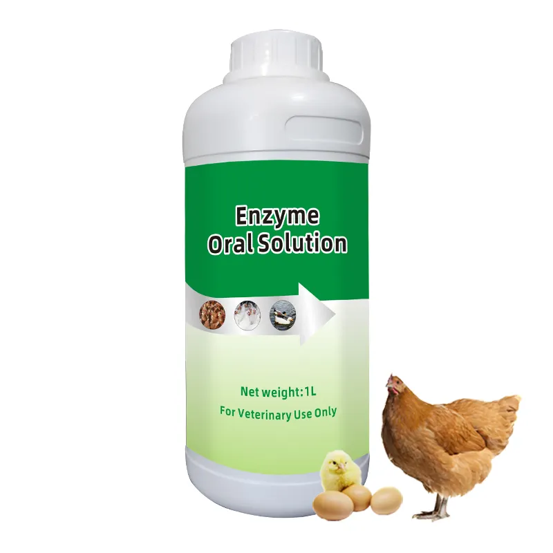Vitboo Supplément d'électrolyte de bétaïne de volaille avec des vitamines et des minéraux pour la volaille oiseaux bétail vache buffle et équin