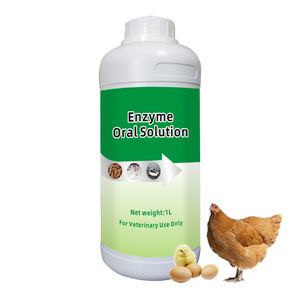 Suplemento Electrolítico de Betaína Vitboo para Aves de Corral con Vitaminas y Minerales para Aves, Ganado Vacuno, Búfalos y Equinos - Product Image 1