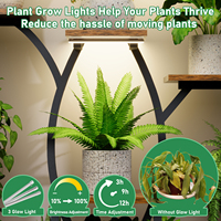 Support de plantes LED en forme de branche d'arbre avec chaîne suspendue pour fougères, présentoir haut en bois et métal à 8 pots, coin douillet pour salon