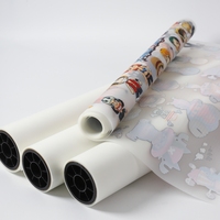 Film de transfert DTF PET à chaud en rouleau 30cm/60cm pour imprimante DTF Décoration textile