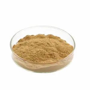 Organic Water Soluble saponins bacopa monniera extract powder bacoside