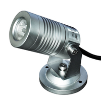 Projecteur LED 12V DC à piquet pour jardin avec lumière blanc chaud pour extérieur