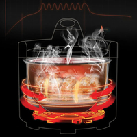 Cuisinière Électrique 2-EN-1 de Luxe en Acier Inoxydable avec Couvercles de Cuisson sous Pression et de Friture à Air, Grille Amovible, Combo Friteuse à Air et Autocuiseur