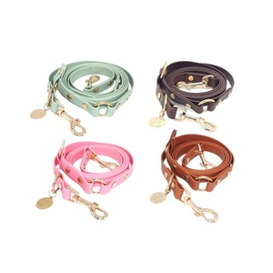 Correa de Perro Personalizada de PVC, Impermeable, Ligera, para Razas Pequeñas, para Paseos al Aire Libre, con Colores Personalizados y Opción de Marca Privada - Product Image 4