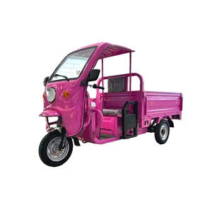 Sonlink 1000W 1.6M Công Suất Cao Tải Cao Độ Bền Dài Màu Hồng Tùy Chỉnh Sang Trọng Mở Hàng Hóa Điện Ba Bánh - Product Image 5