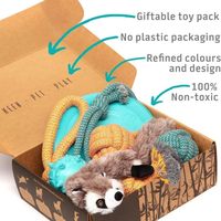 Ensemble de 6 jouets pour chiot, comprenant une balle en peluche couineuse avec corde, un disque volant et une balle à mâcher, kit de démarrage pour petits chiens, cadeau d'anniversaire de bienvenue