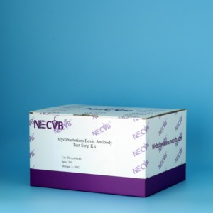 Bandelette de test d'anticorps Mycobacterium bovis Détection rapide de la tuberculose bovine | 50 tests/kit - Product Image 2