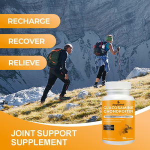 No Gmo Vegan Aeglewell Glucosamina Condroitina <span class=keywords><strong>MSM</strong></span> Suplemento Cápsulas Apoya la estructura articular saludable - Product Image 4