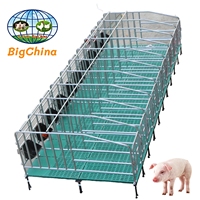Équipement d'élevage porcin pour truies gestantes : Caisse de mise bas en acier galvanisé à chaud avec longues cages pour animaux, équipement porcin, enclos à porcs