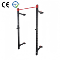 VIGFIT Support de Squat Mural Premium Pliable et Multifonctionnel avec Poulie pour Salle de Sport à Domicile