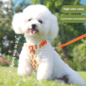 Venta al por mayor <span class=keywords><strong>de</strong></span> poliéster a la moda para mascotas, conjunto <span class=keywords><strong>de</strong></span> equipo para caminar, malla transpirable, Estilo Chaleco, arnés para perros, correa para perros pequeños <span class=keywords><strong>Bichon</strong></span> acolchada - Product Image 1